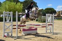 cavalerie